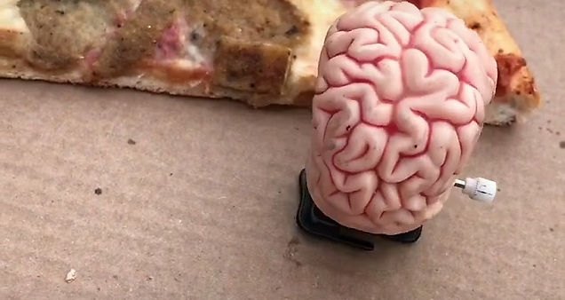 Brain Going for Pizza